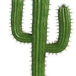 Ransomware Cactus verbreitet sich schnell