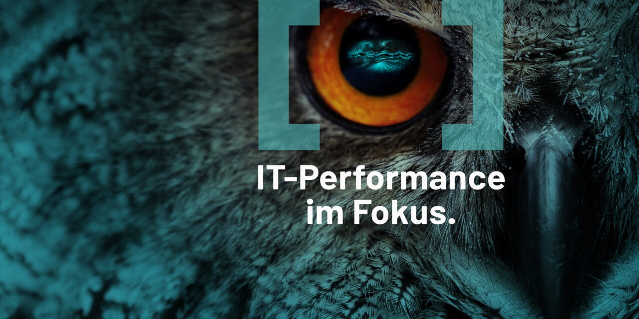 TRIN[IT]Y IT-PS Performance Management